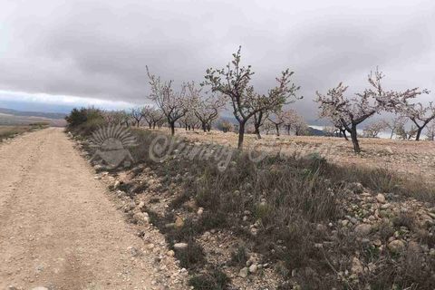 Helårsgrund i Yecla, Murcia, Yecla - € 45.000 | Ref: SF0565 - foto 16